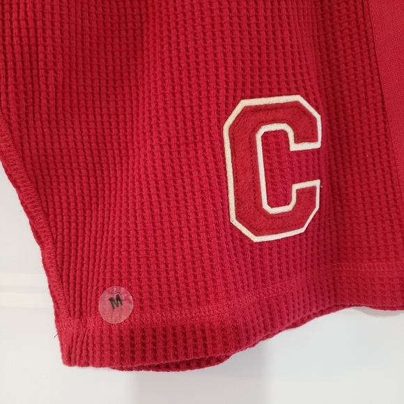The Vault Cornell Collegiate Waffle Knit Long Shorts Mens M Big Red Drawstring - Picture 4 of 10